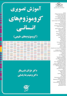 آموزش تصویری کروموزوم های انسانی (کروموزوم های طبیعی)